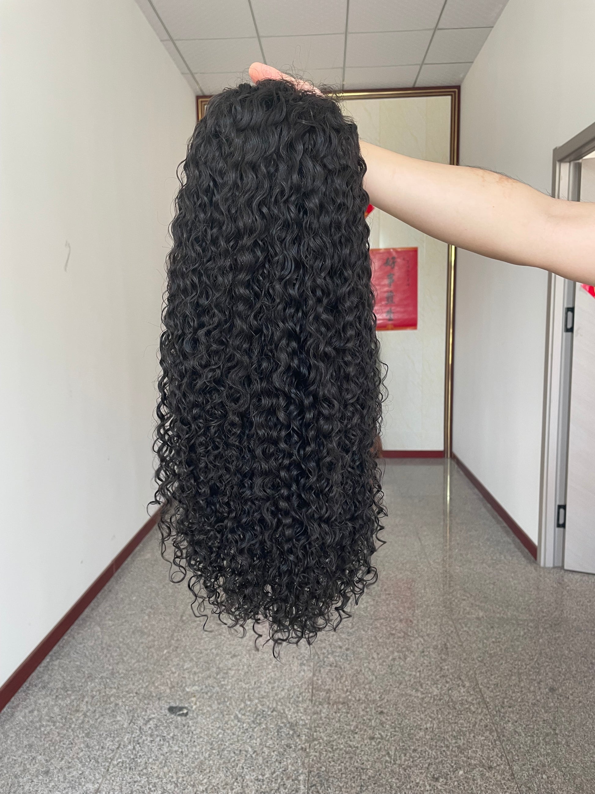 Indian Raw Hair Wig 5x5 HD Closure Wig Black Curly Wig