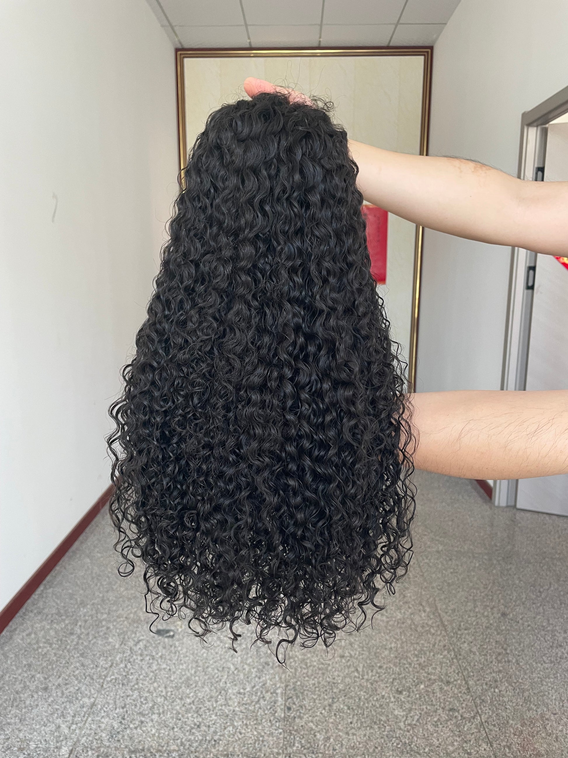 Indian Raw Hair Wig 5x5 HD Closure Wig Black Curly Wig