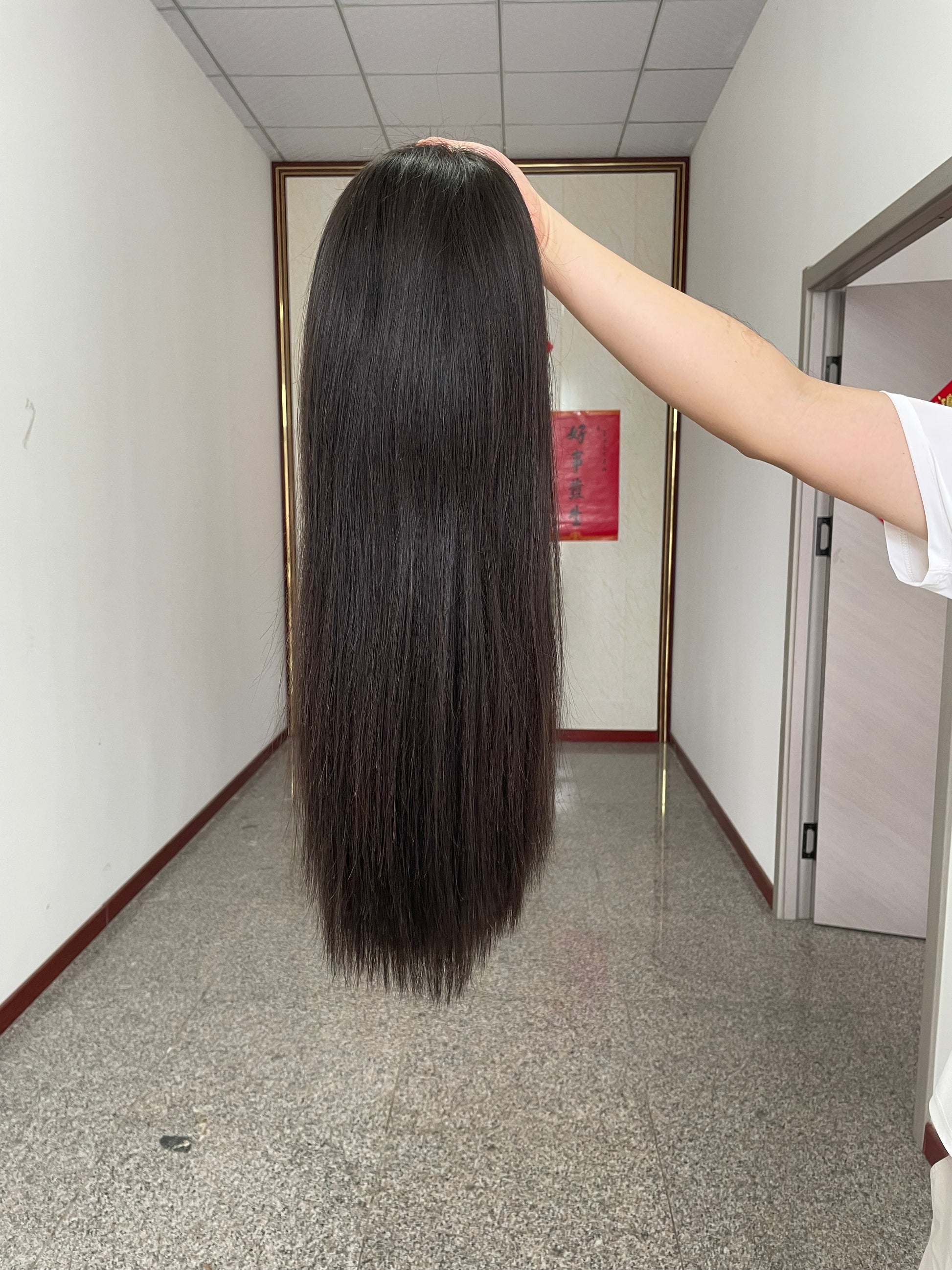 Premium Indian Raw Hair Wig HD Lace Closure Wig 5x5 Closure Wig