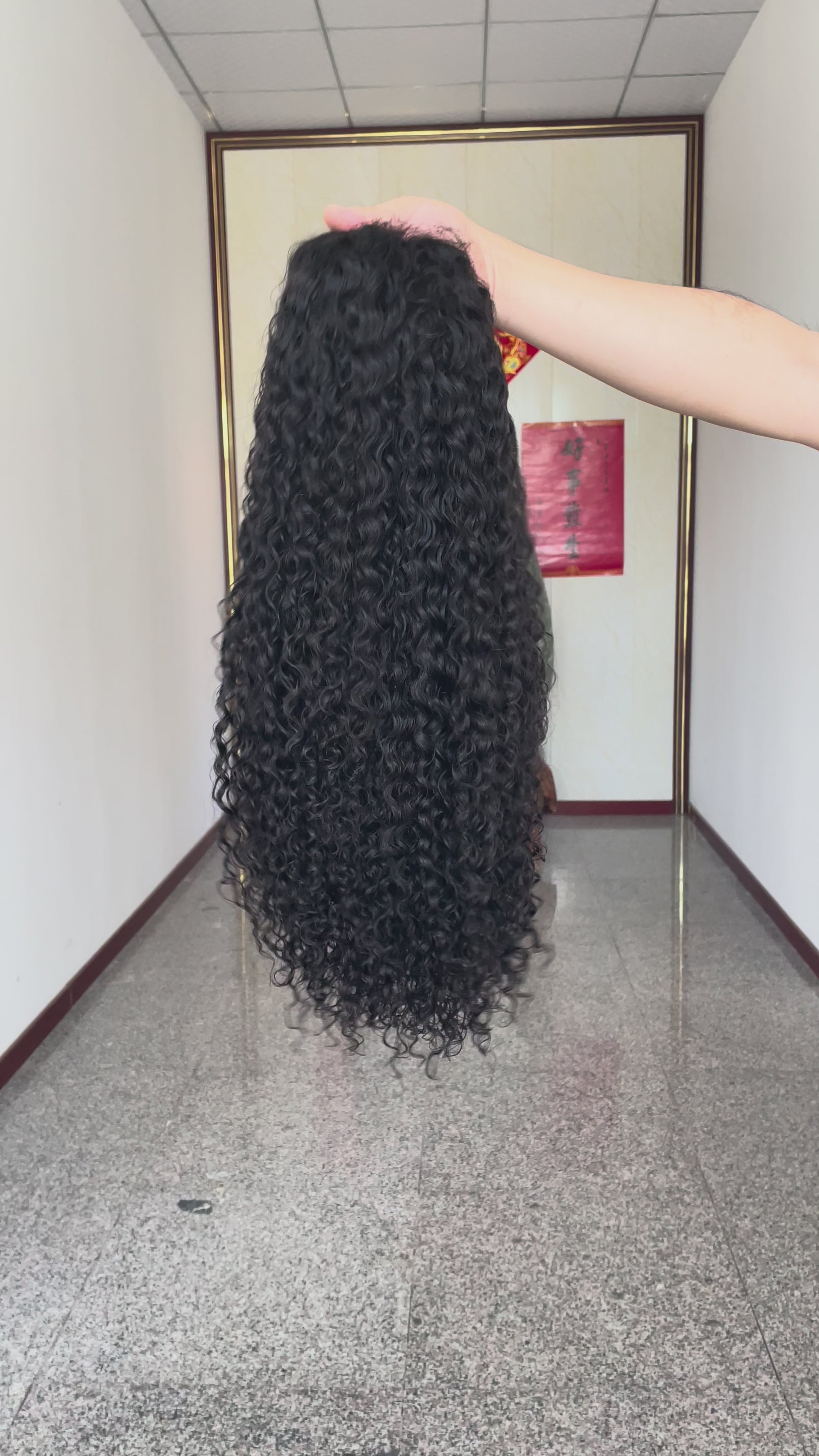 Indian Raw Hair Wig 5x5 HD Closure Wig Black Curly Wig