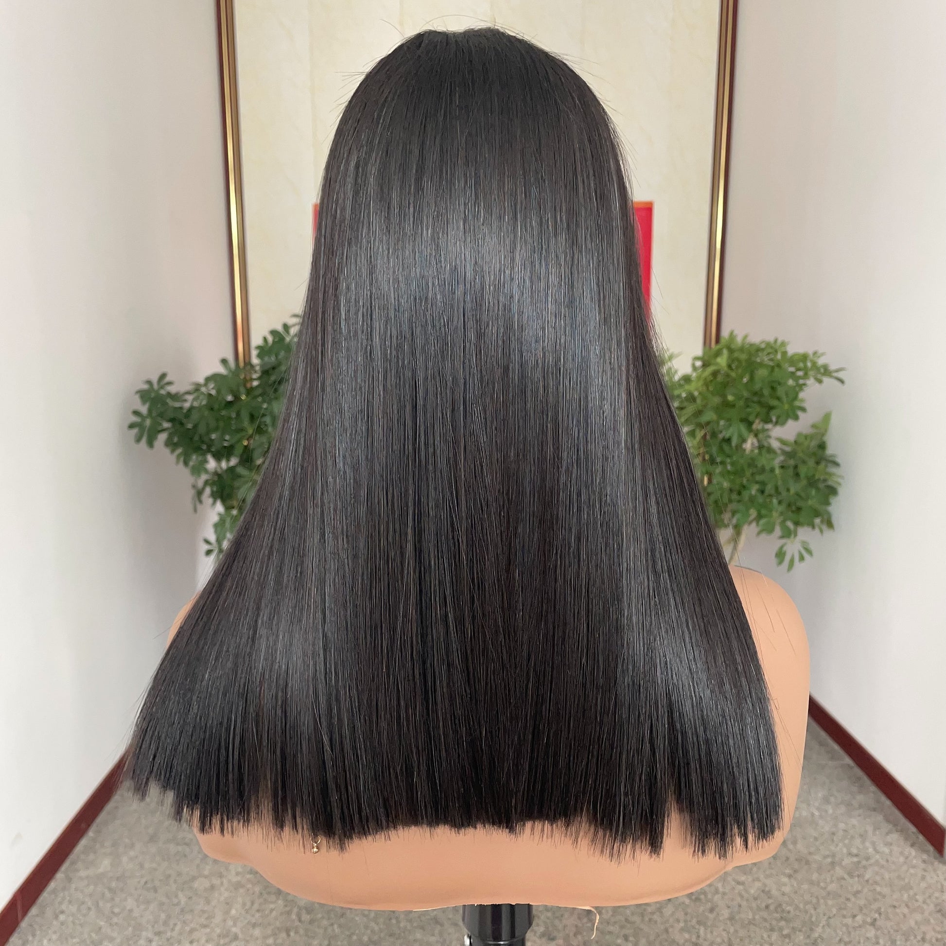 Premium Vietnamese SDD Bone Straight Lace Wig